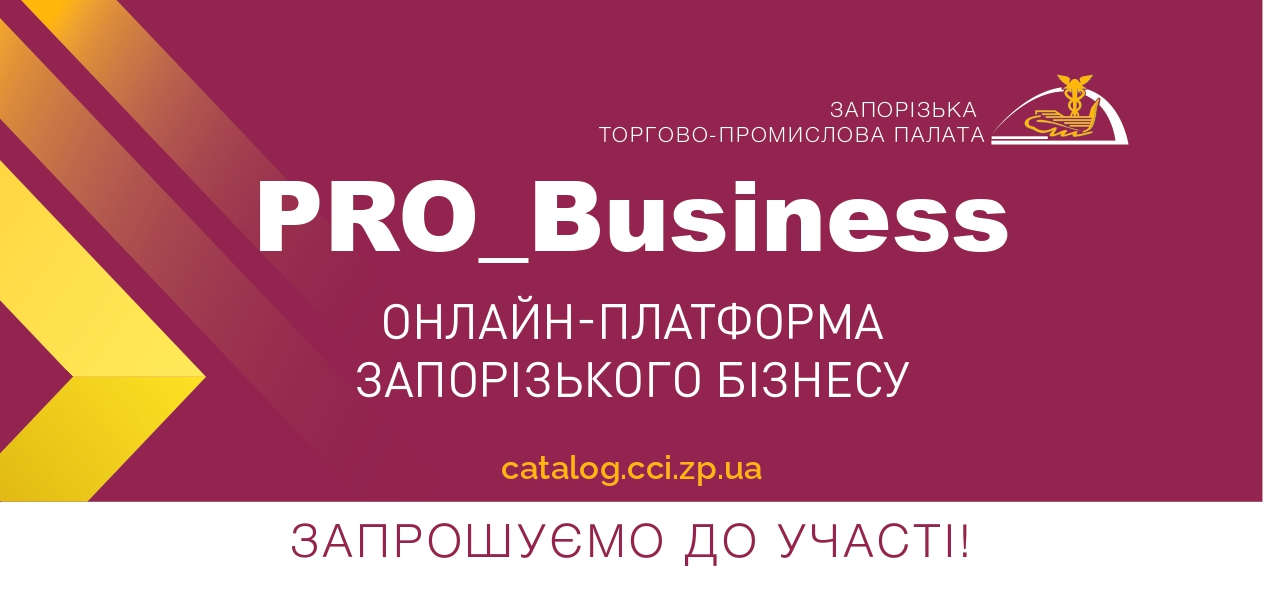 Онлайн-платформа запорізького бізнесу PRO_Business: перший рік роботи